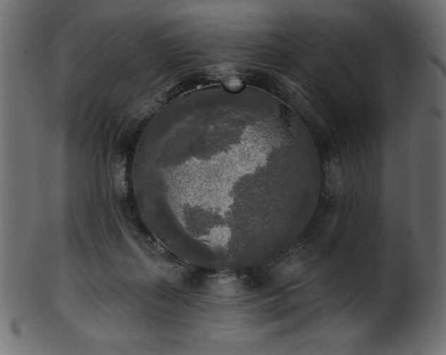 X0000102020267200807181333