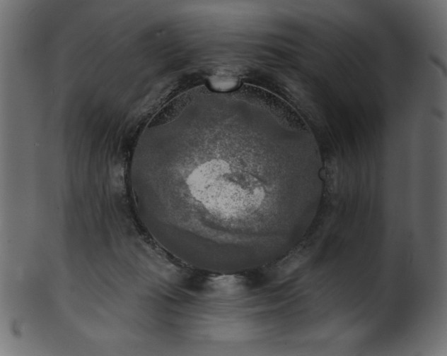 X0000102020269200807181333