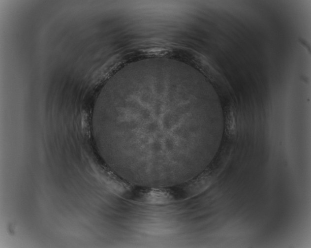 X0000102020270200807181333