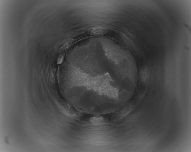 X0000102020271200807181333