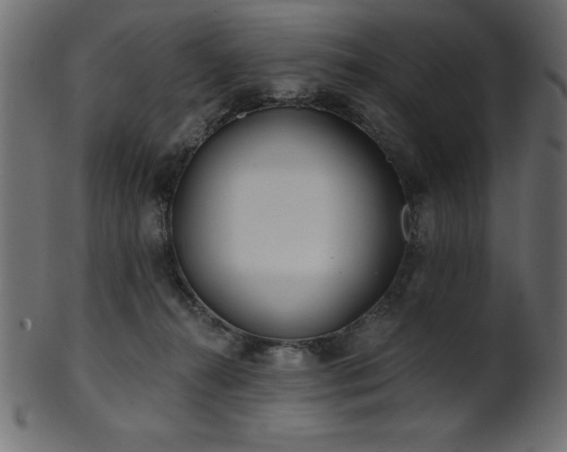 X0000102020272200807181333