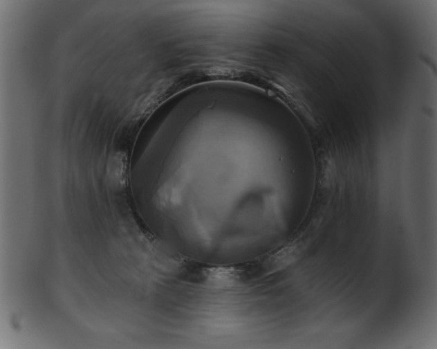 X0000102020273200807181333