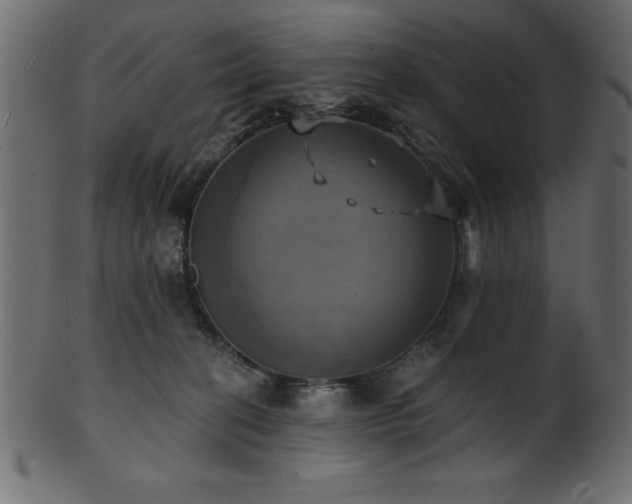 X0000102020274200807181333