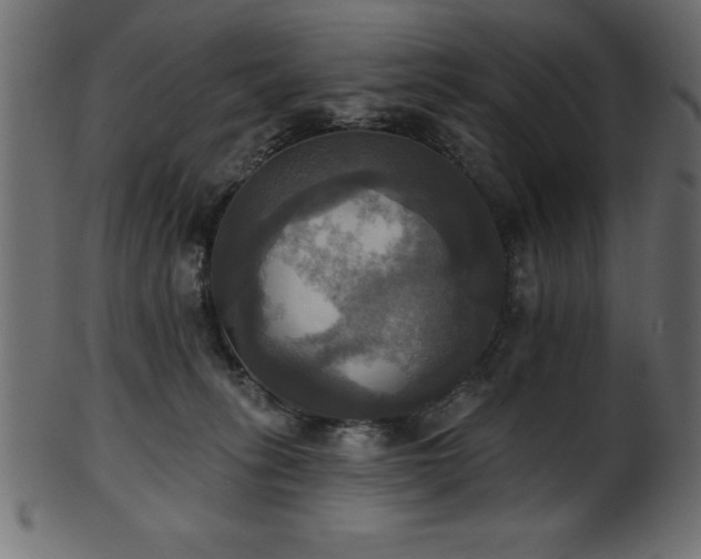 X0000102020275200807181333