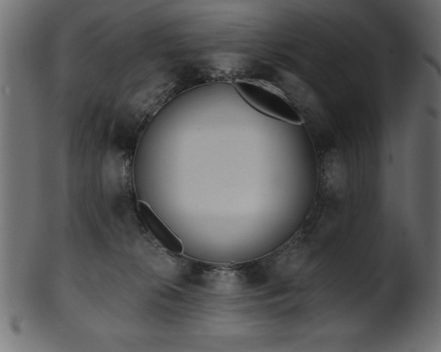 X0000102020276200807181333