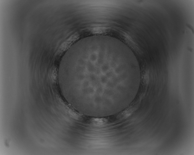 X0000102020277200807181333