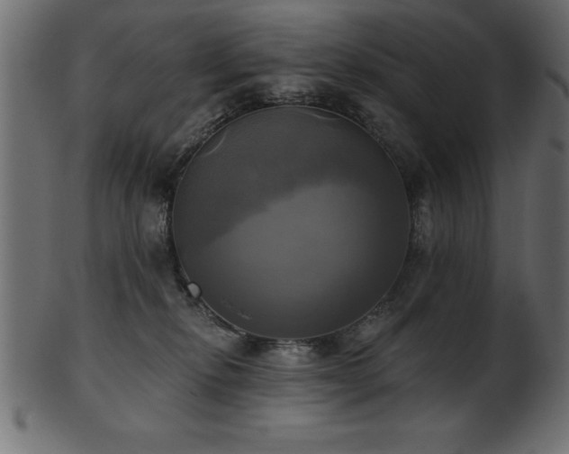 X0000102020278200807181333