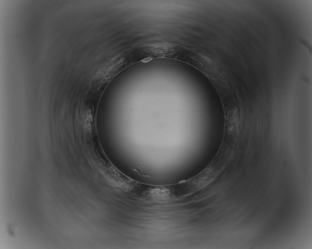 X0000102020279200807181333