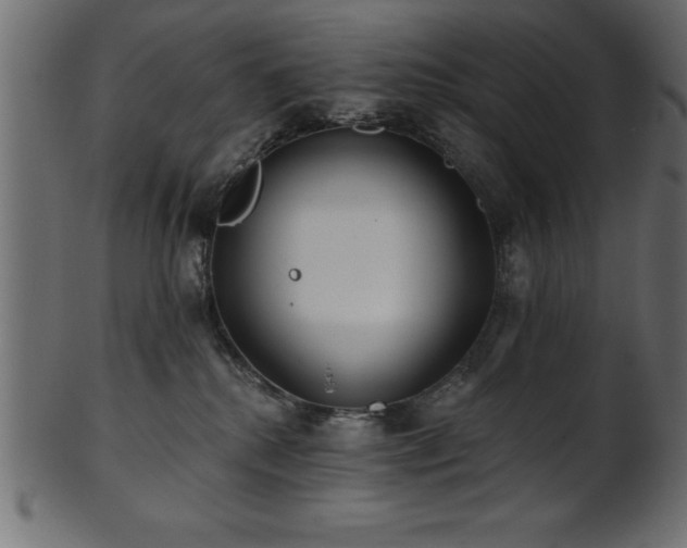 X0000102020280200807181333