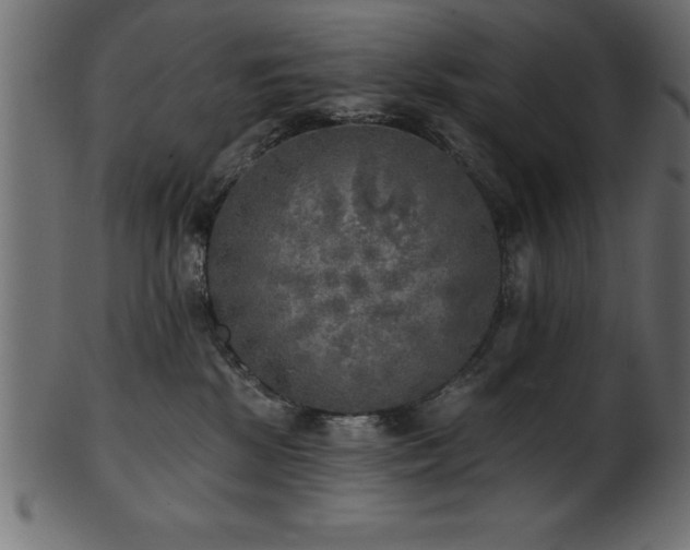 X0000102020281200807181333