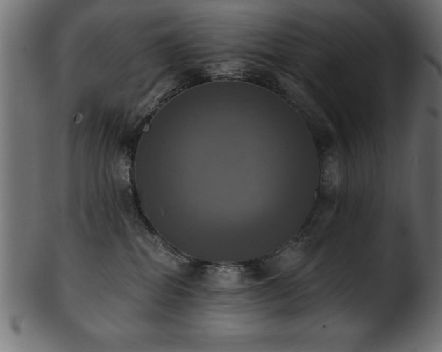 X0000102020282200807181333