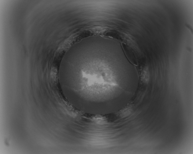 X0000102020283200807181333