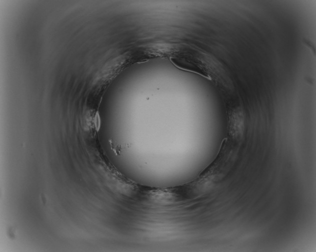 X0000102020284200807181333