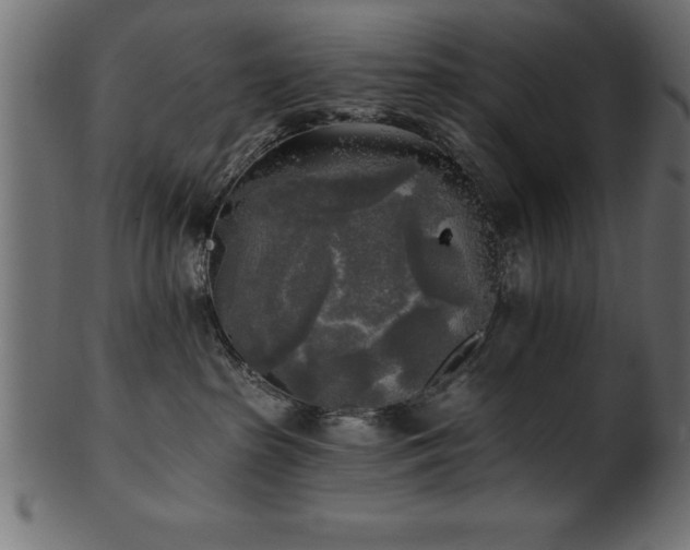 X0000102020285200807181333
