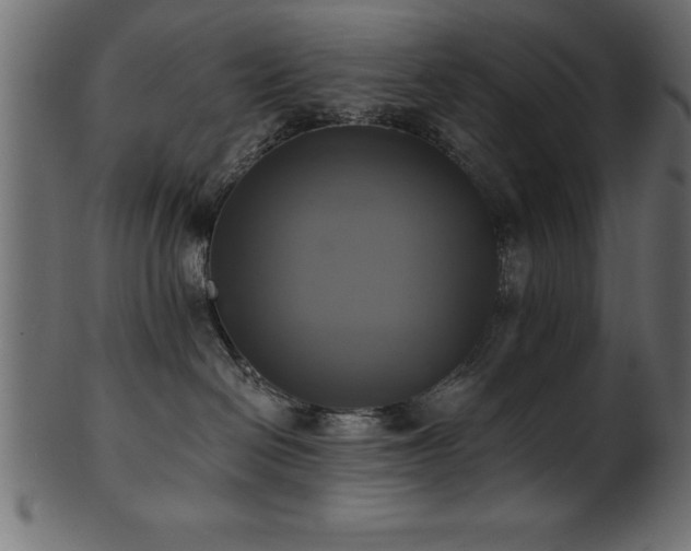 X0000102020286200807181333