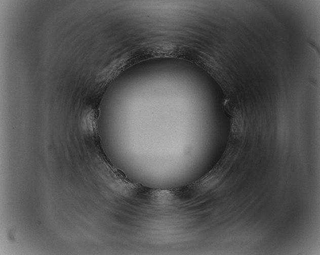 X0000102020287200807181333