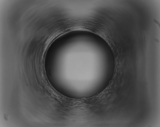 X0000102020289200807181333