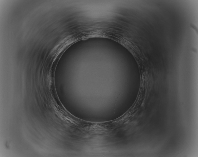 X0000102020290200807181333