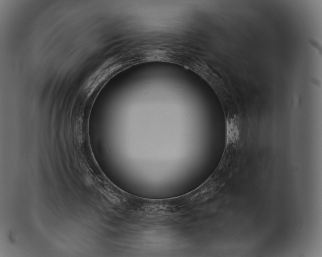 X0000102020291200807181333