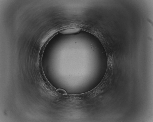 X0000102020292200807181333
