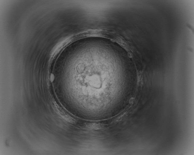 X0000102020293200807181333