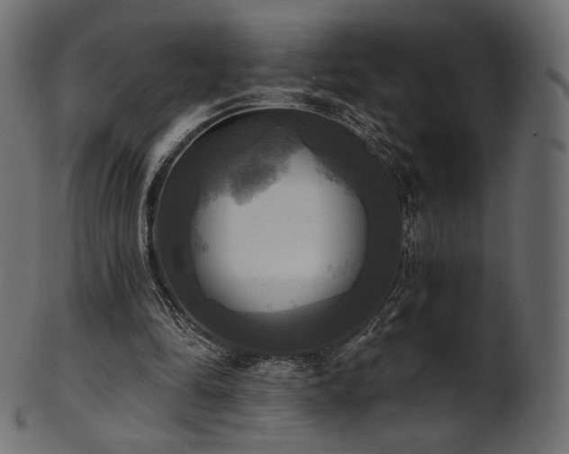 X0000102020294200807181333