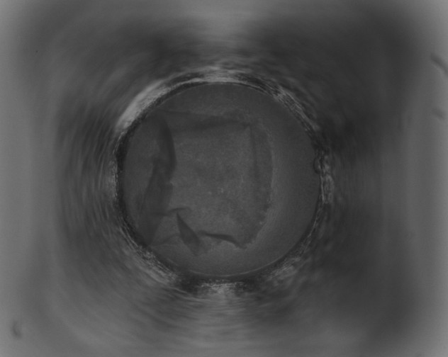 X0000102020295200807181333