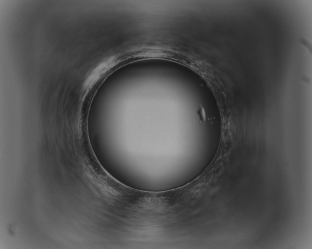 X0000102020296200807181333