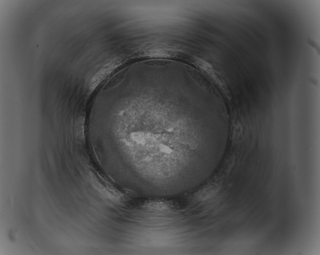 X0000102020299200807181333