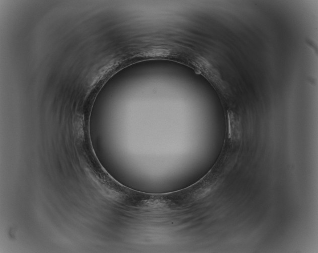 X0000102020300200807181333