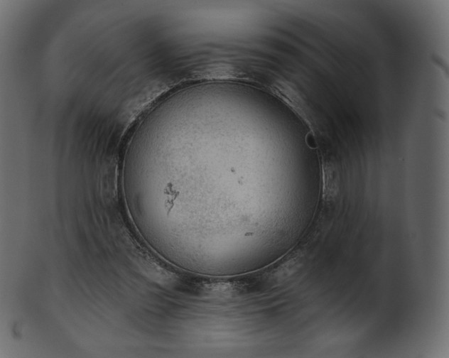 X0000102020301200807181333