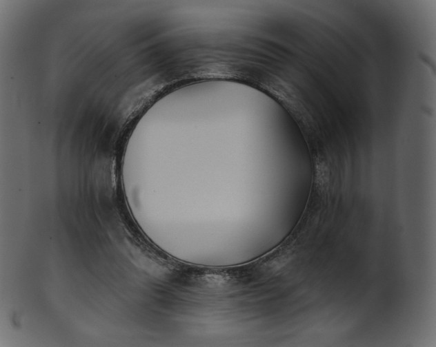 X0000102020302200807181332