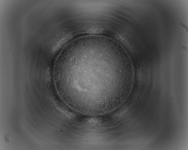 X0000102020303200807181332