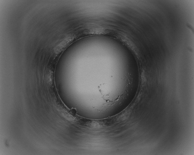 X0000102020305200807181332
