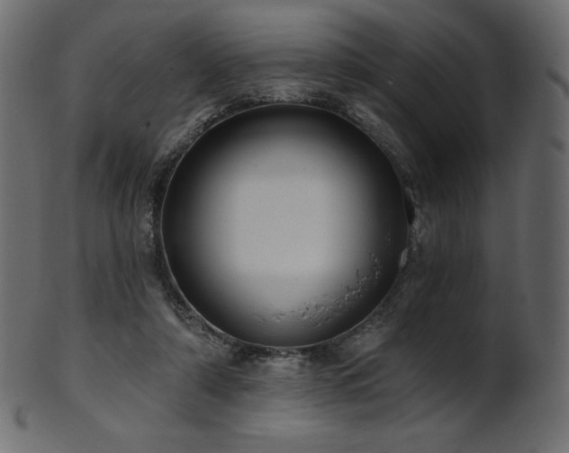 X0000102020306200807181332