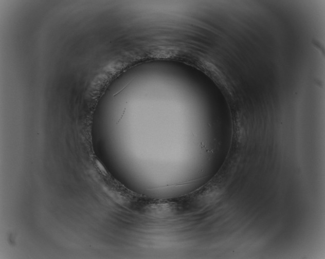 X0000102020307200807181332