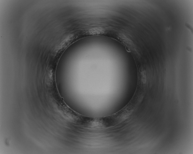 X0000102020308200807181332