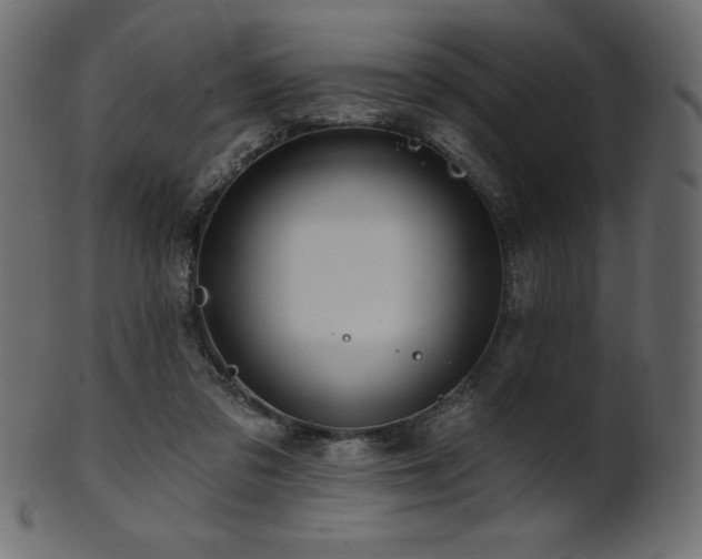 X0000102020309200807181332