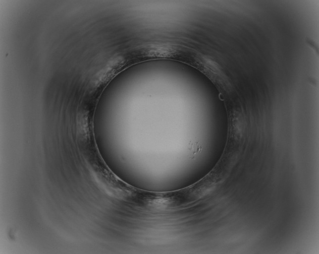 X0000102020312200807181332