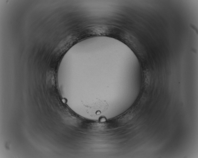 X0000102020313200807181332