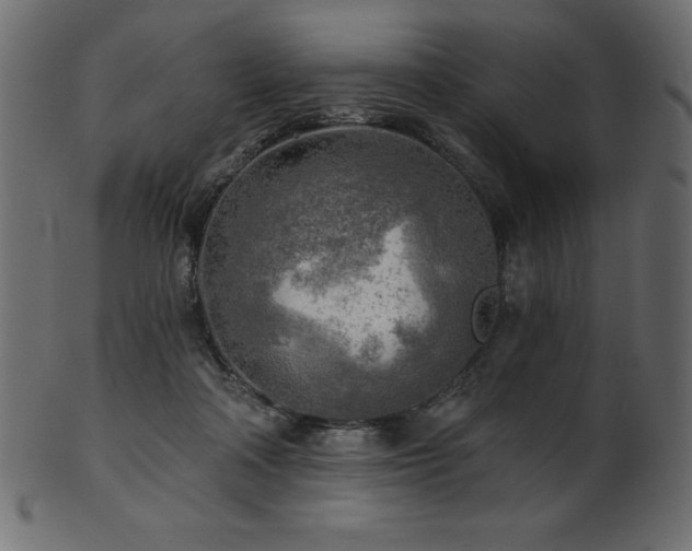 X0000102020314200807181332