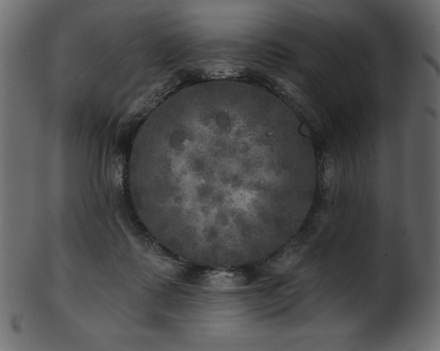 X0000102020315200807181332