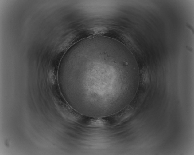 X0000102020316200807181332