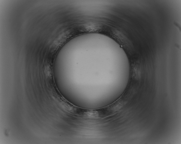 X0000102020317200807181332