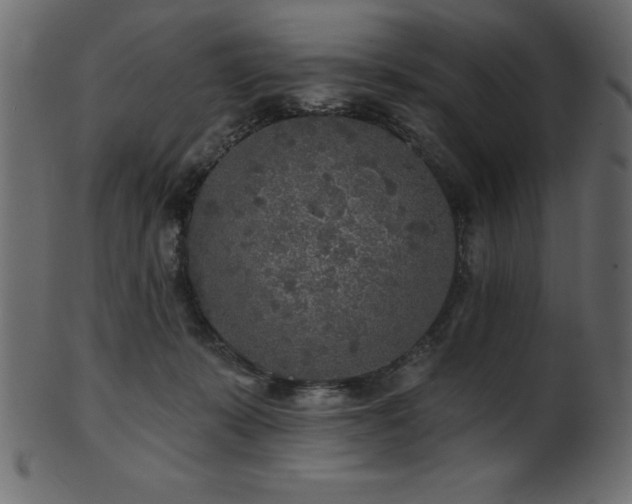 X0000102020319200807181332
