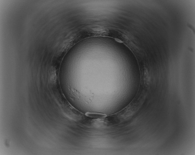 X0000102020320200807181332