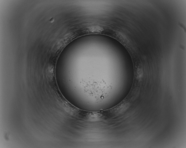 X0000102020321200807181332