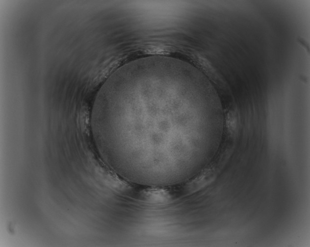X0000102020322200807181332