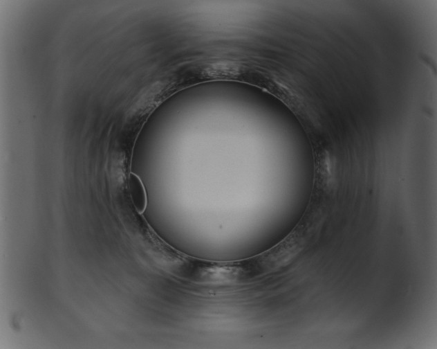 X0000102020323200807181332