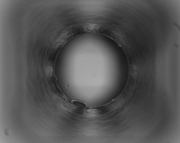 X0000102020324200807181332